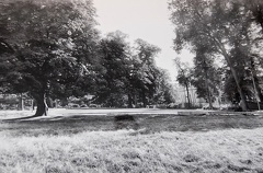 Widok na boisko asfaltowe przy pałacu Wielopolskich. 
