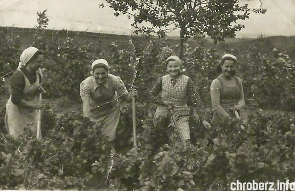 Kobiety podczas pracy w majątku Wielopolskich.