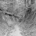 Droga w wąwozie - Lasy Chroberskie, rok 1953