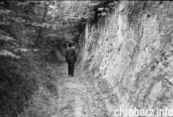 Droga w wąwozie - Lasy Chroberskie. Rok 1953.