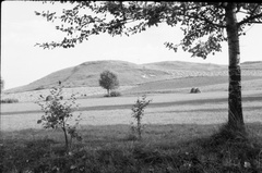 Okolice Winiar od strony Zagości. Lata 1953 - 54.