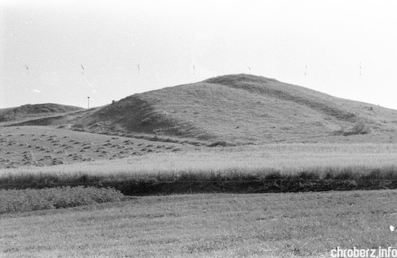Okolice Winiar (gm. Pińczów, 11 km od Chrobrza). Lata 1953 - 54. 